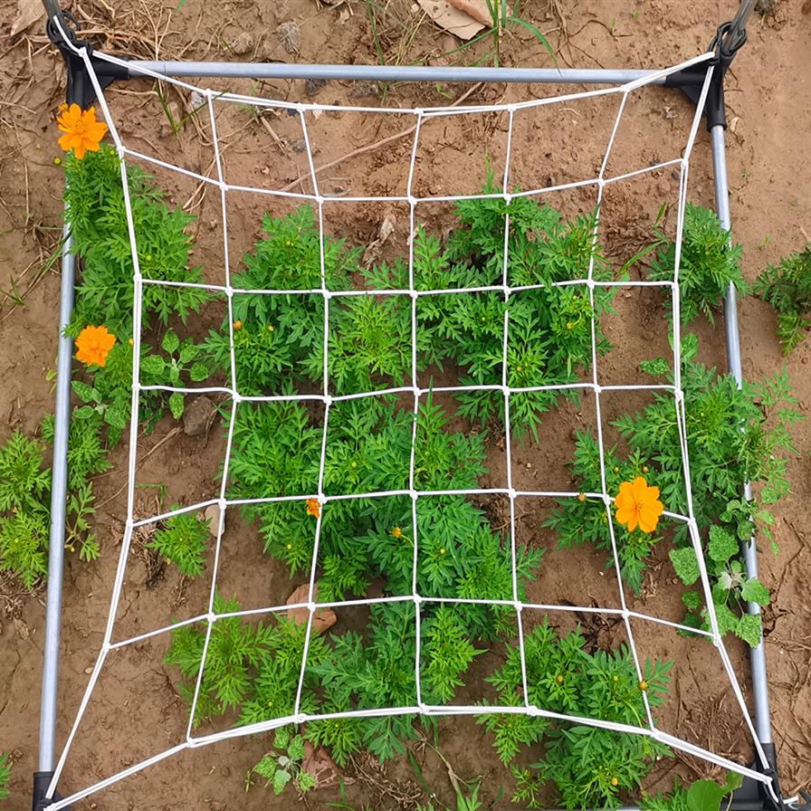 90*90cm Grow Tent Flexible Elastic Trellis Netting White Color - Buy
